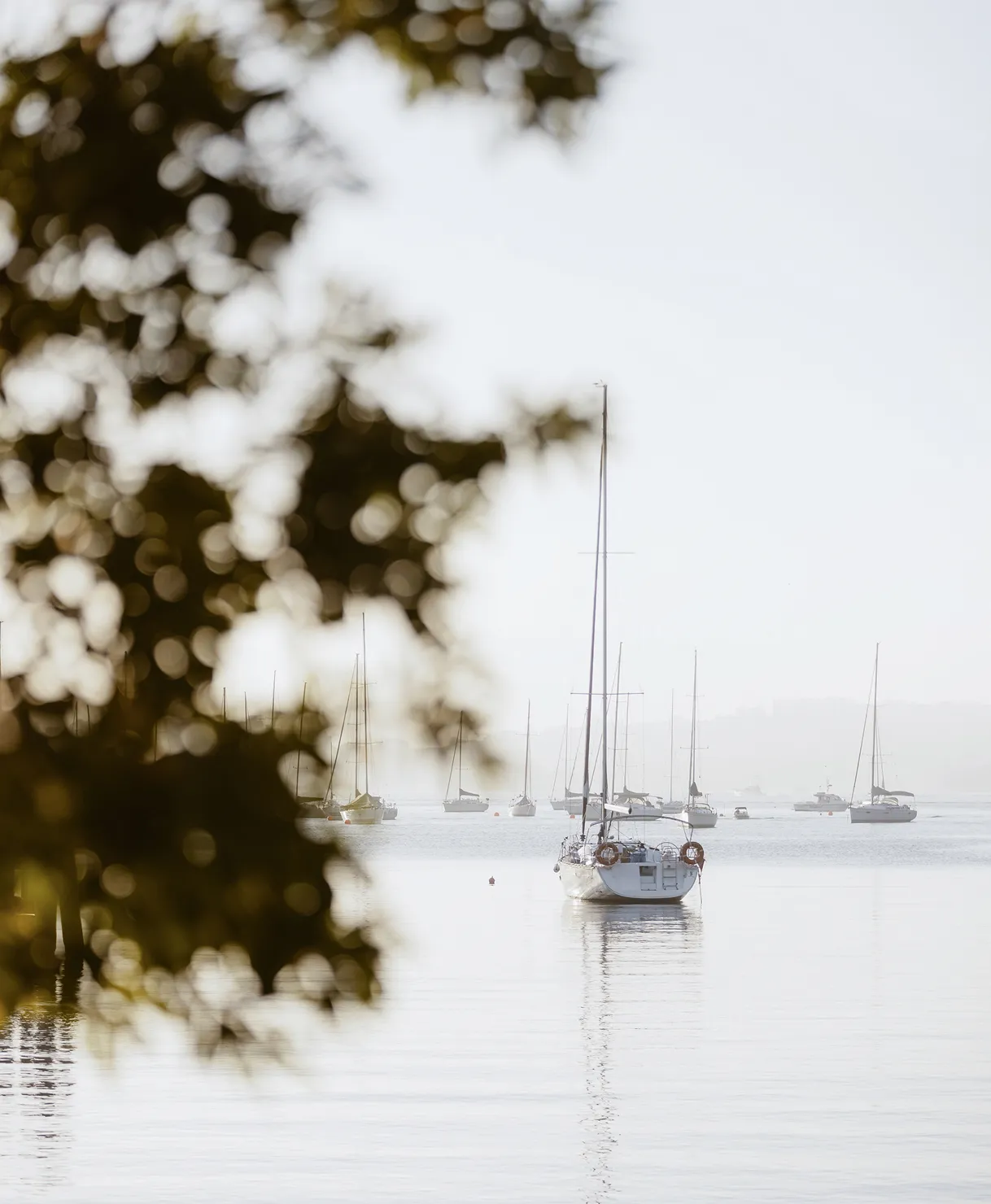 Kirribilli Harbour