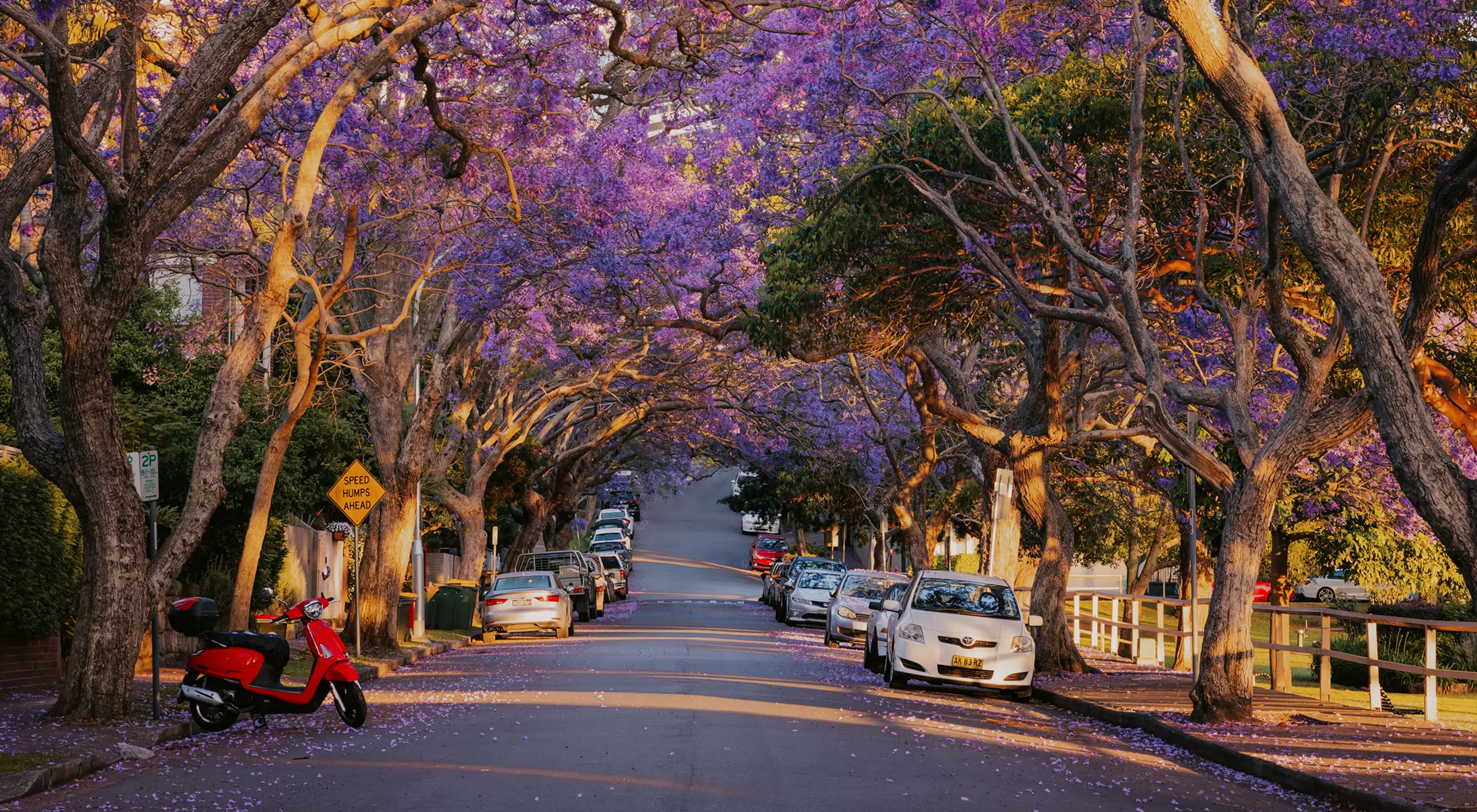 Kirribilli Harbour